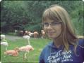 flamingi.. zoo.. wakacje 2010